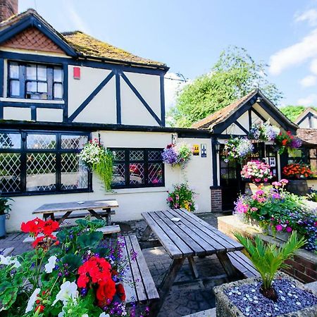 ニューベリー Ye Olde Red Lion Bed & Breakfast エクステリア 写真