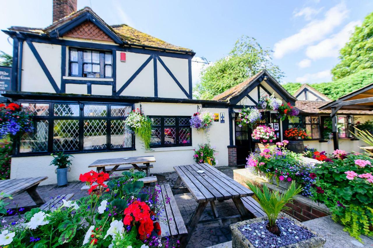 ニューベリー Ye Olde Red Lion Bed & Breakfast エクステリア 写真